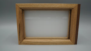 Illuminated Display Box with Life Pane