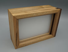 Illuminated Display Box with Life Pane